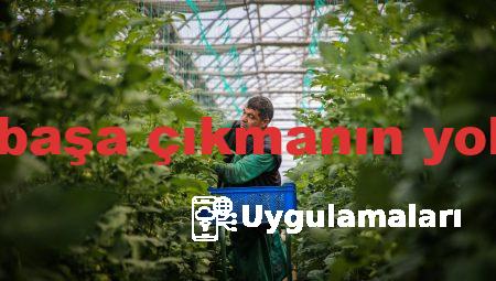 Kronik ağrı ile başa çıkmanın yollarını keşfedin!