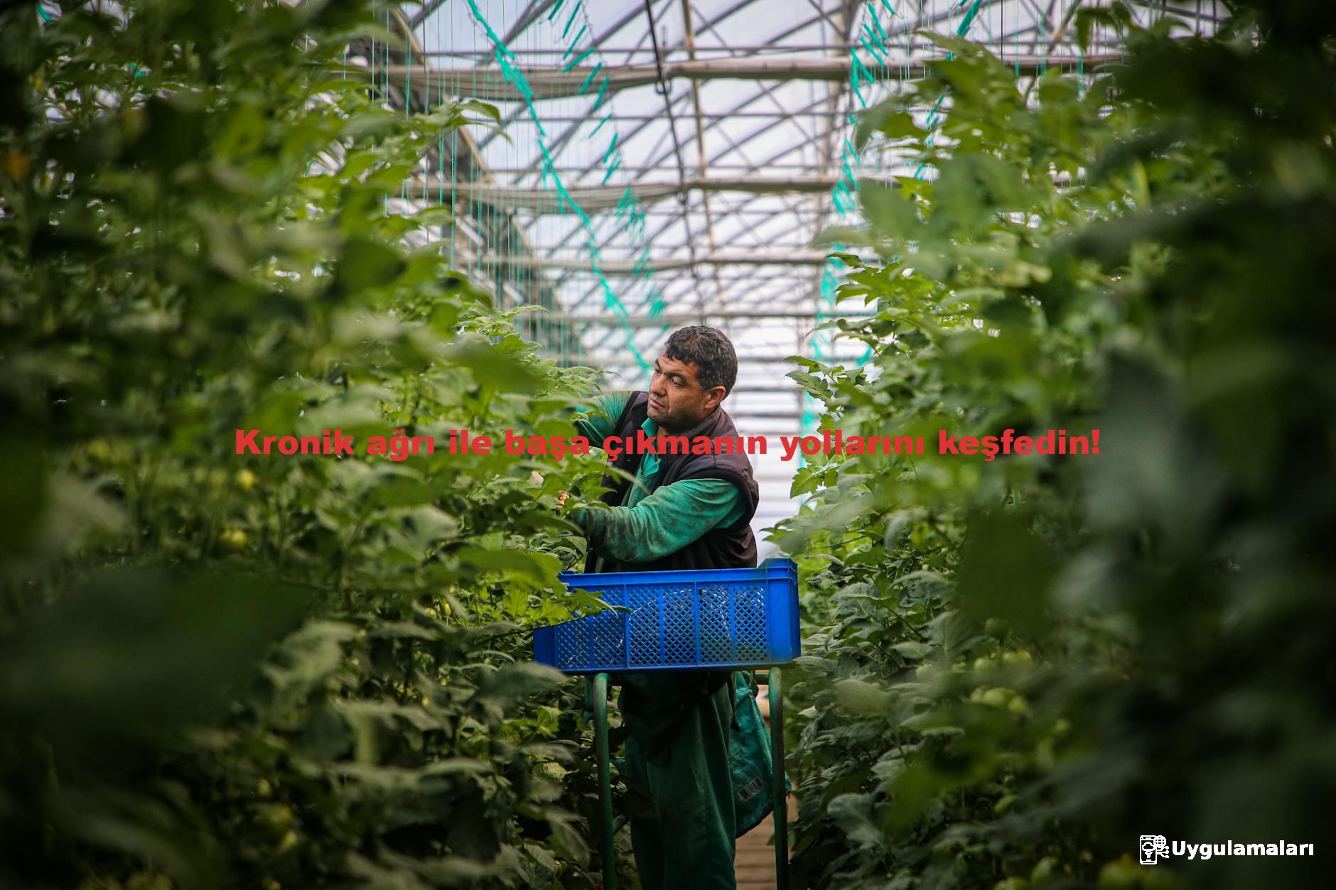 Kronik ağrı ile başa çıkmanın yollarını keşfedin!