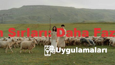 Trimonitör Kullanmanın Sırları: Daha Fazla Ekran, Daha Fazla İş