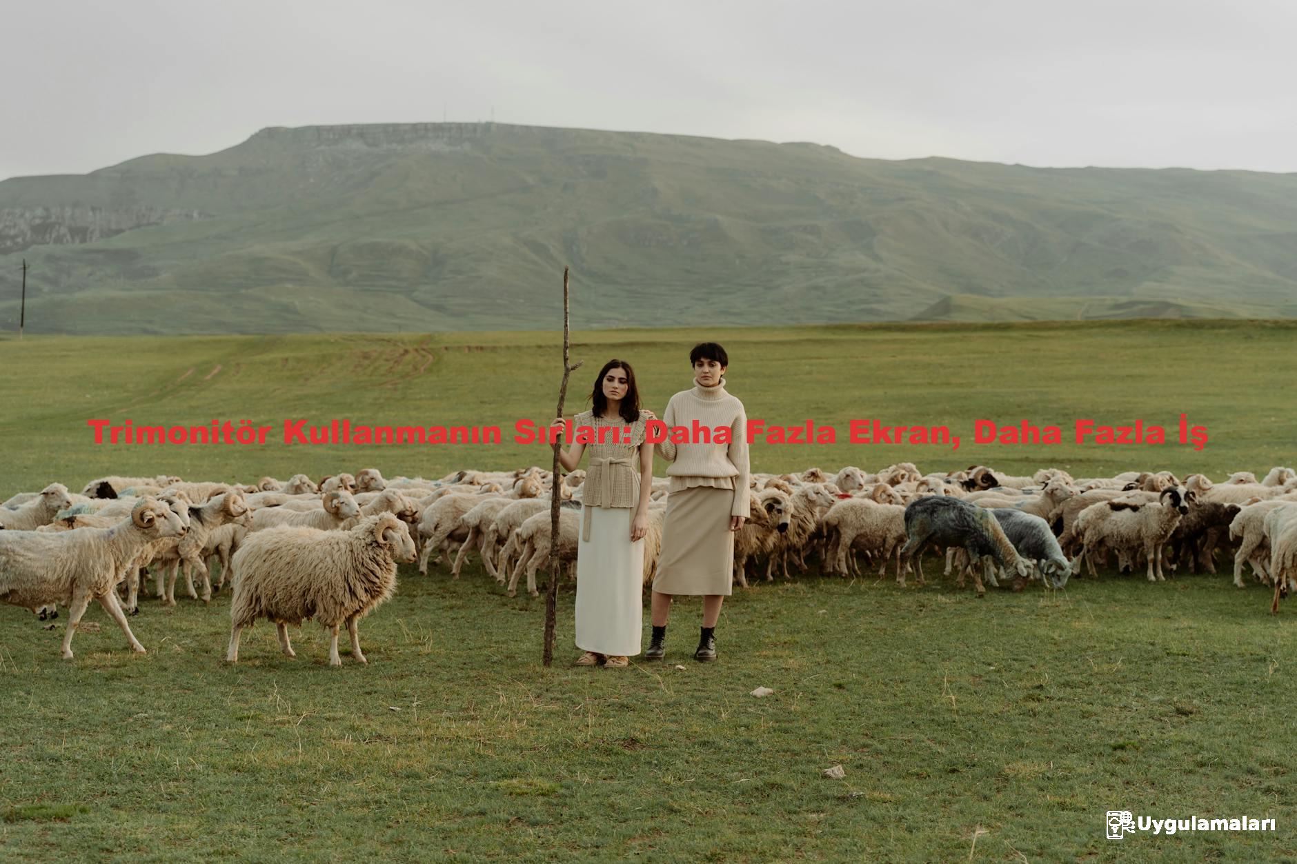 Trimonitör Kullanmanın Sırları: Daha Fazla Ekran, Daha Fazla İş