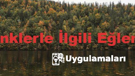 Almanca Renklerle İlgili Eğlenceli Testler