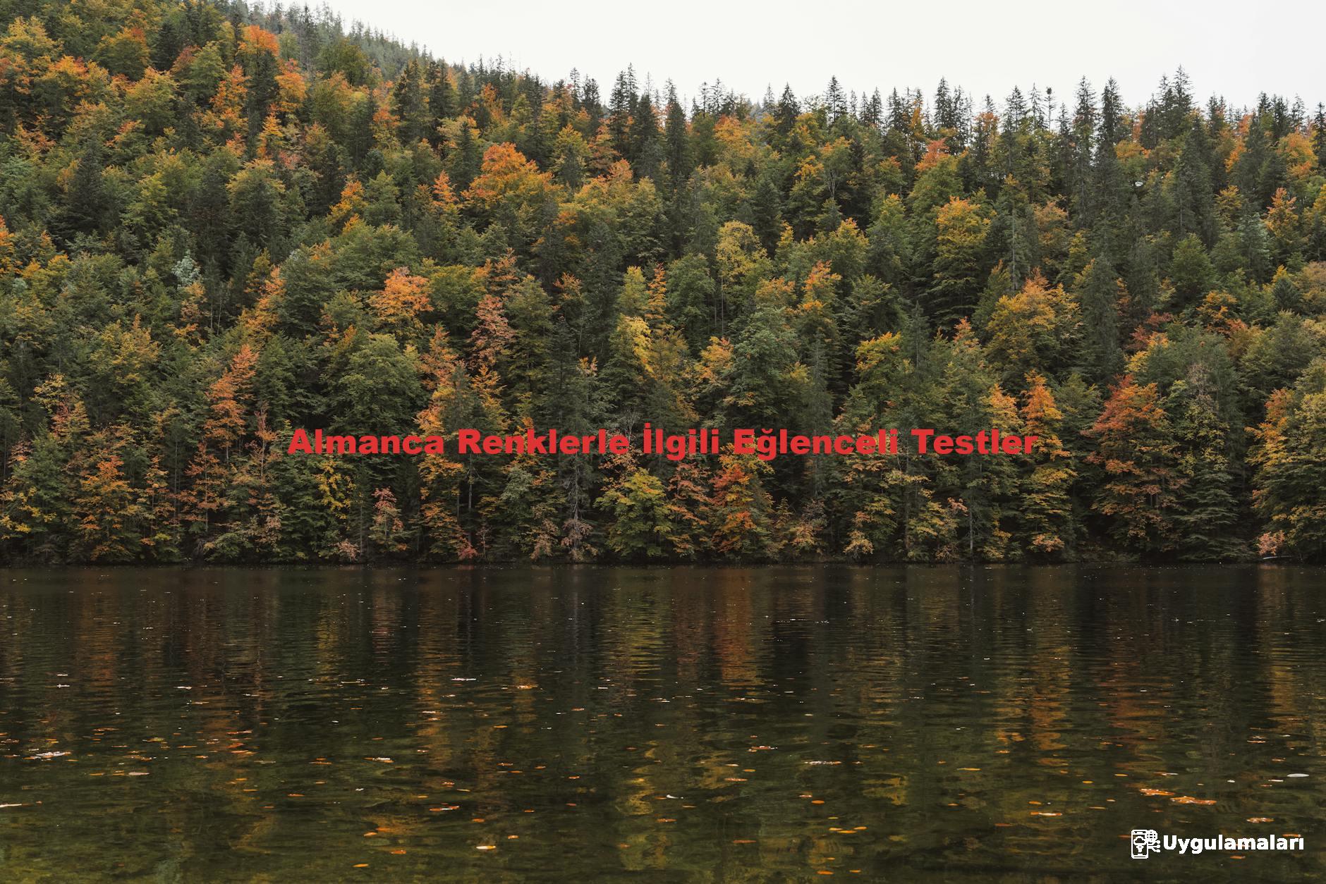 Almanca Renklerle İlgili Eğlenceli Testler