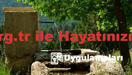 Tavsiye.org.tr ile Hayatınızı Yenileyin