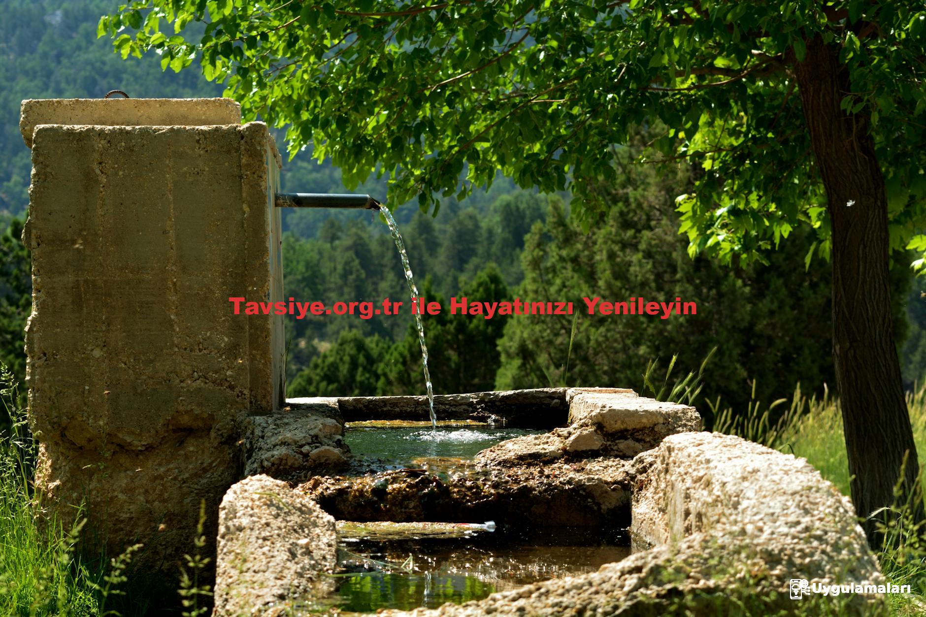 Tavsiye.org.tr ile Hayatınızı Yenileyin