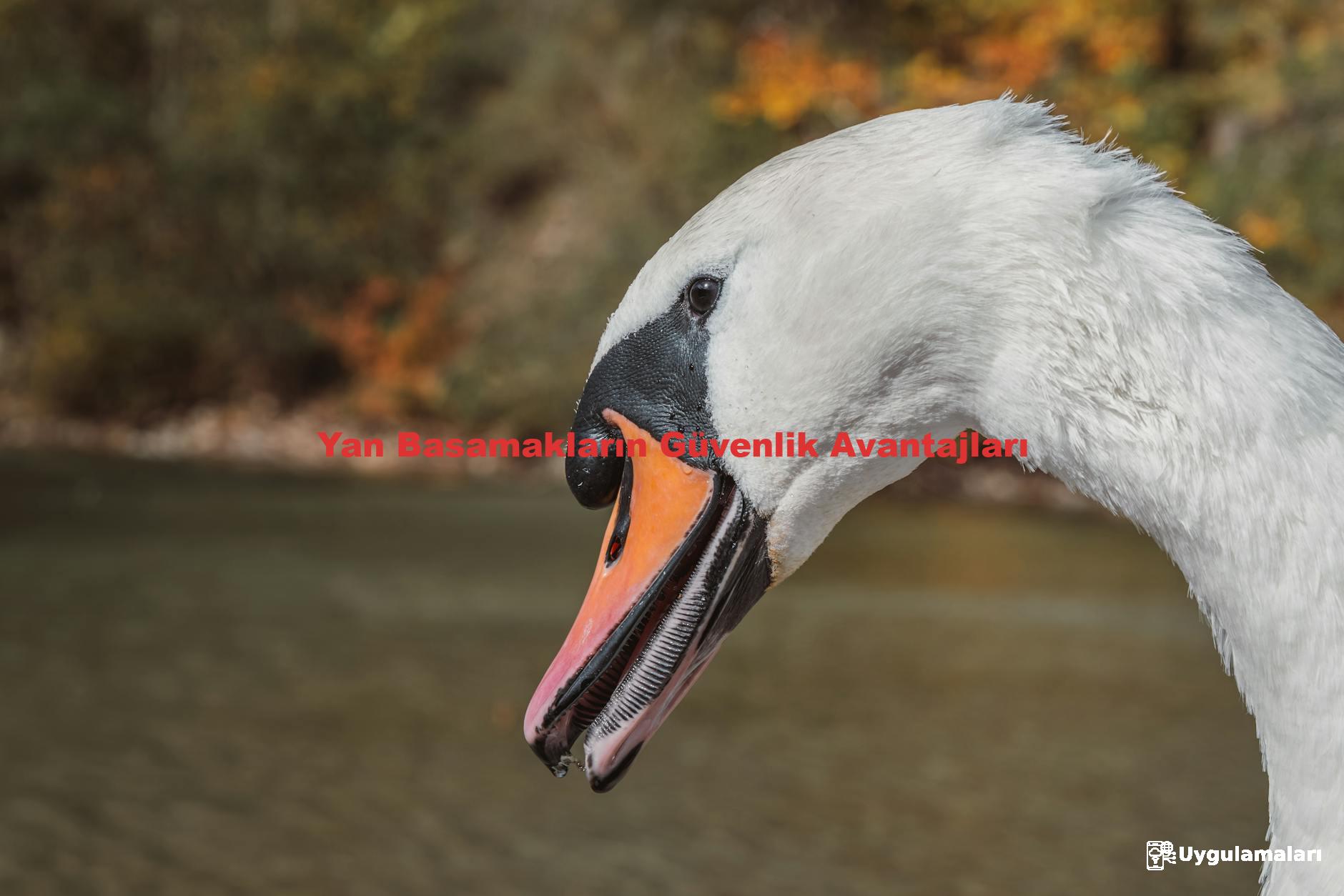 Yan Basamakların Güvenlik Avantajları