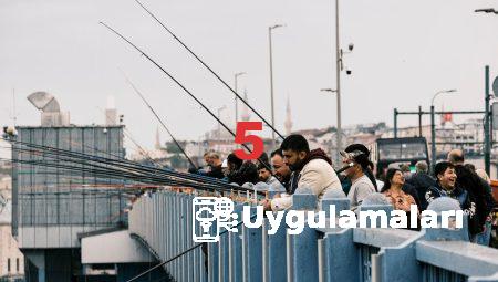 Devlet Sitesi: Alkol Fiyatları ve Yasal Düzenlemeler