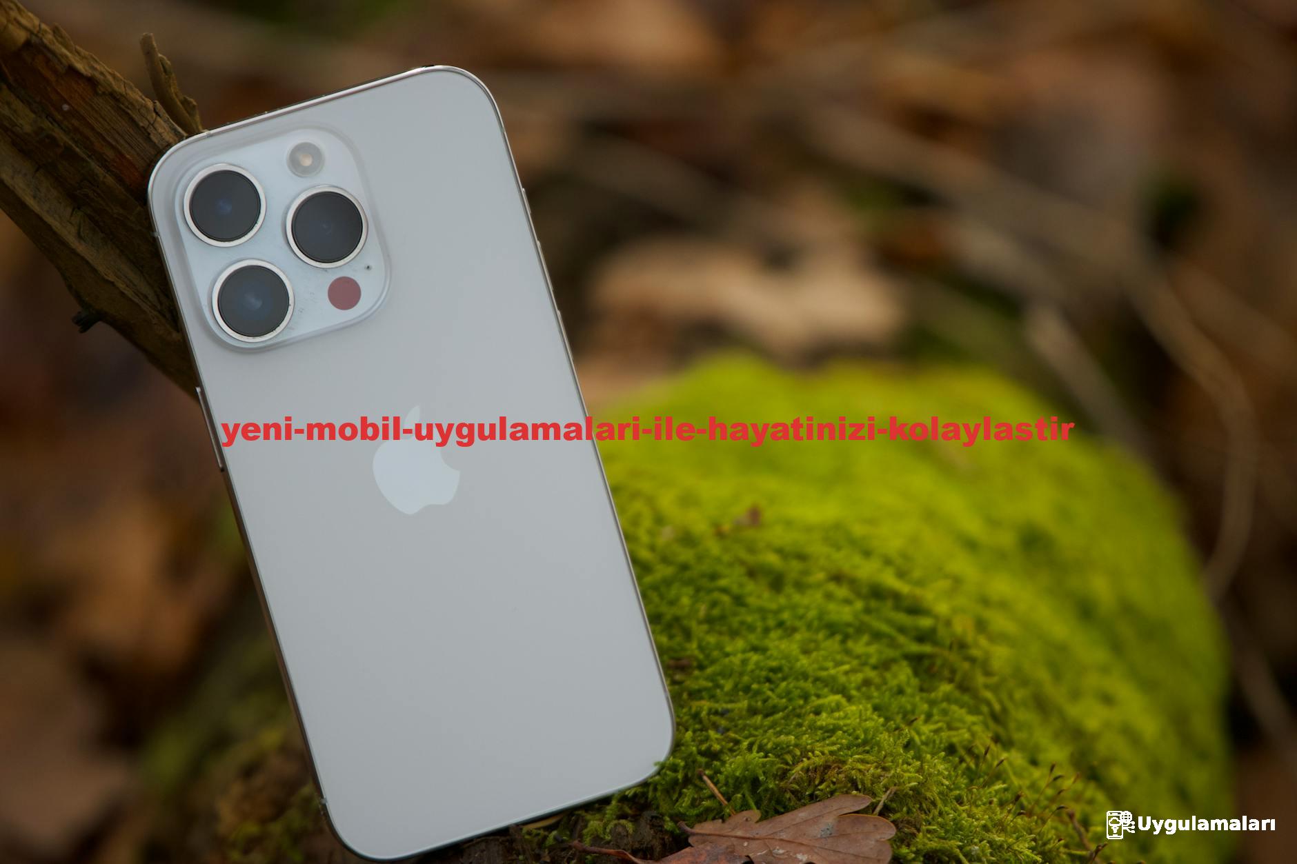 Free stock photo of 2025, 4k, 4k photo