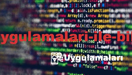 Yeni Eğitim Uygulamaları ile Bilgiyi Keşfedin